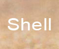 Linux shell基本常用命令