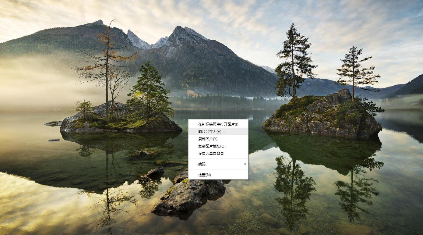 必应壁纸保存_图例3